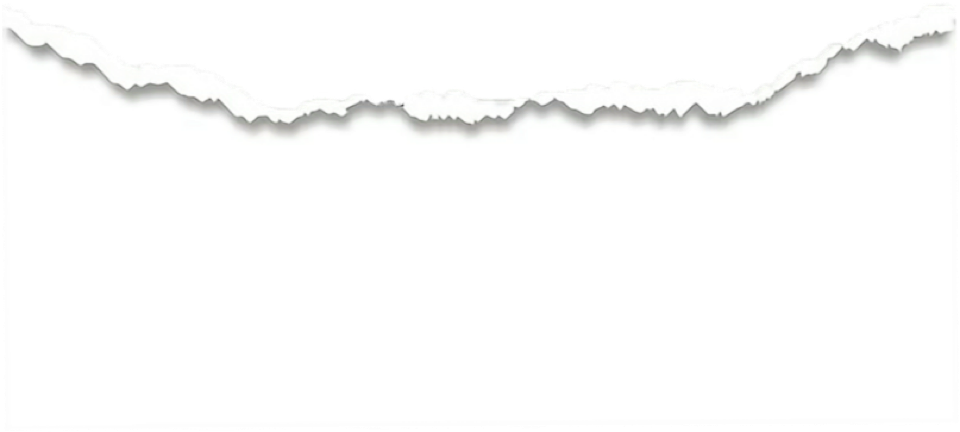 LLC Business Builder